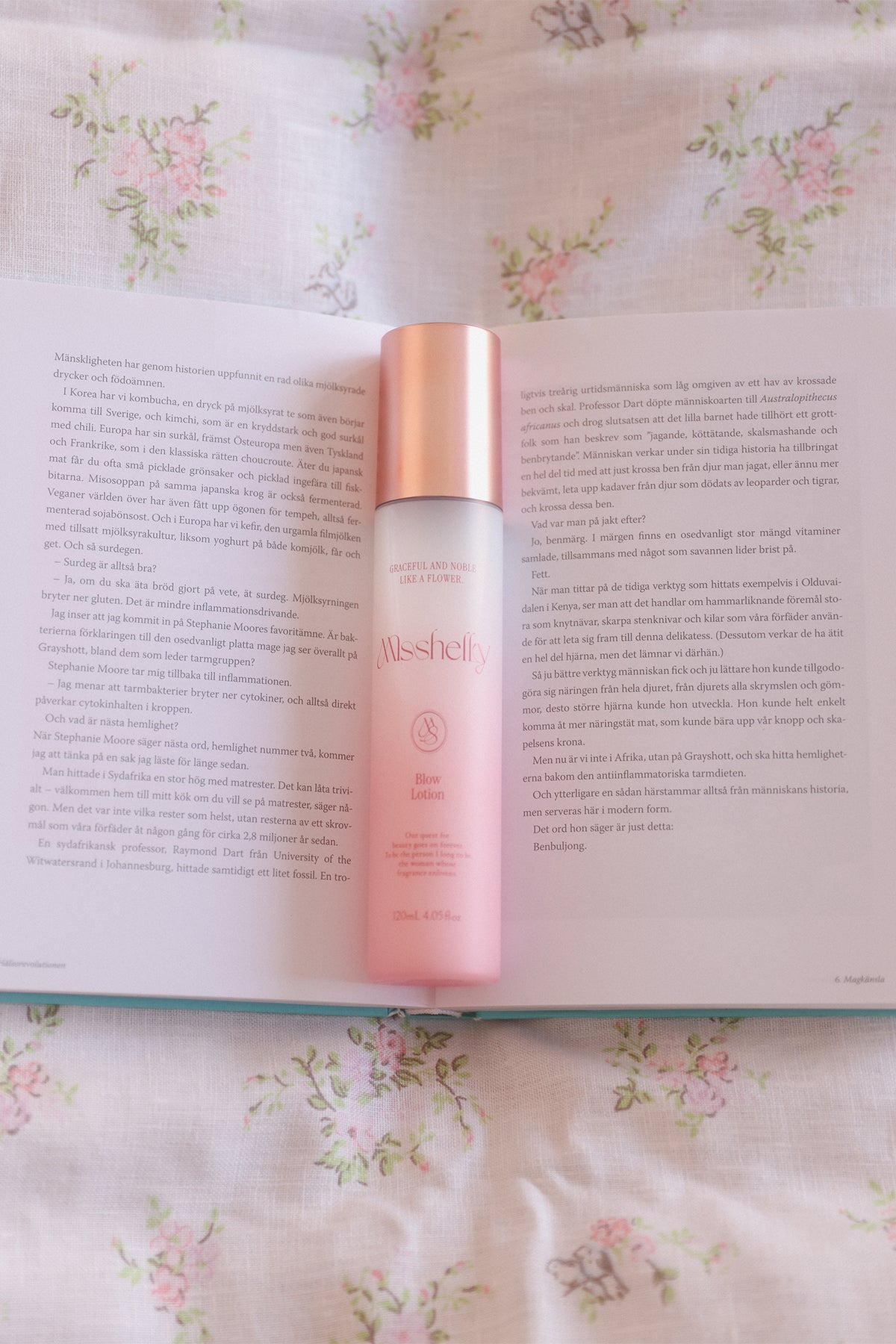 Misshelly Holiday Set